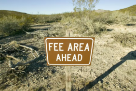 ether-etflerde-ucret-rekabeti-basladi-invesconun-ucreti-vaneckten-yuksek