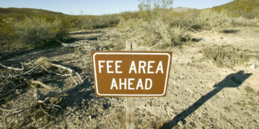 ether-etflerde-ucret-rekabeti-basladi-invesconun-ucreti-vaneckten-yuksek