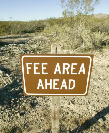 ether-etflerde-ucret-rekabeti-basladi-invesconun-ucreti-vaneckten-yuksek