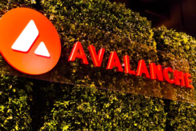 kaliforniya-motorlu-tasitlar-departmani-avalanche-agina-42-milyon-otomobil-ruhsati-yerlestirdi