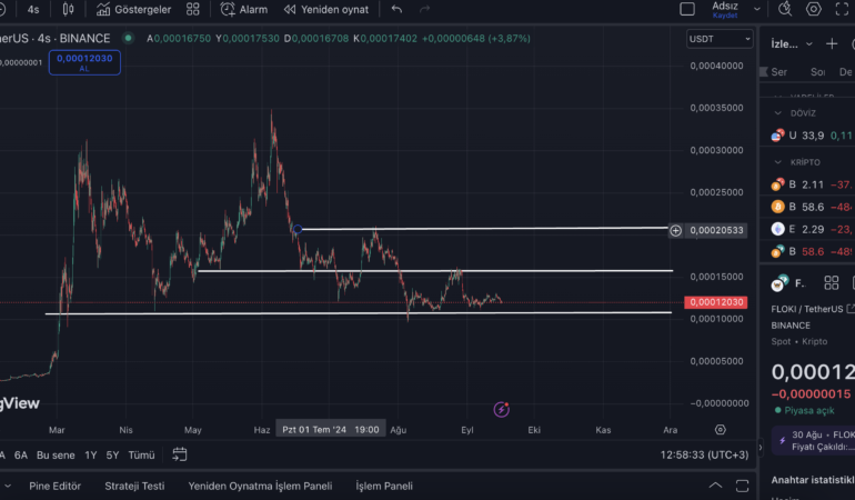 Ekran Resmi 2024-09-16 12.58.33