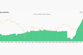 bitfinexte-listelenen-bitcoin-marji-uzun-pozisyonlari-dususe-meydan-okuyor
