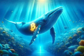 btc-whale