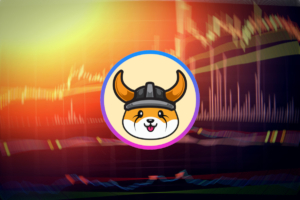 floki-inu-meme-coin