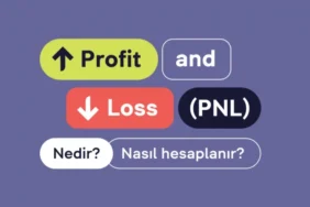 pnl-nedir