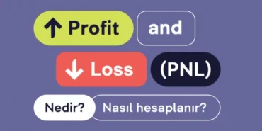 pnl-nedir