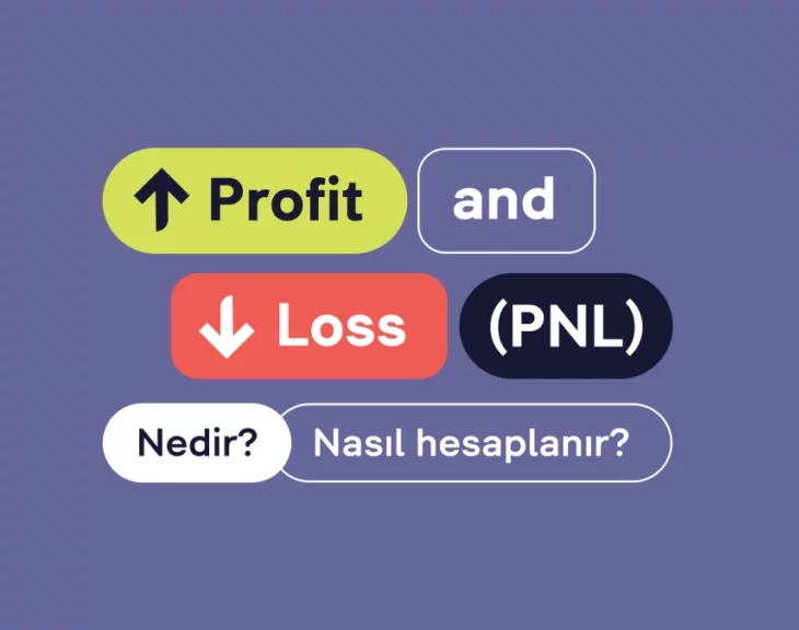 pnl-nedir