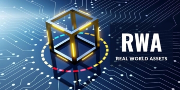 rwa-nedir