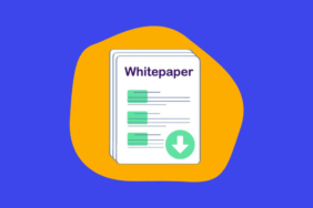 white-paper-nedir
