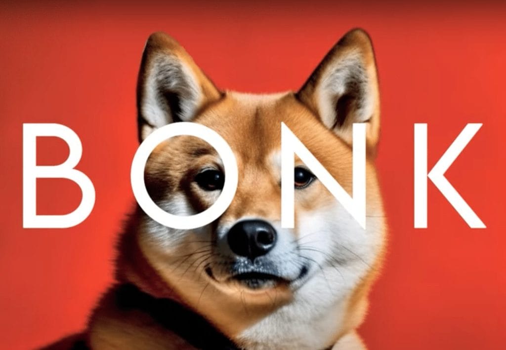 bonk-dog