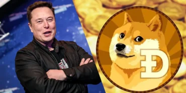 elon-musk-doge-X