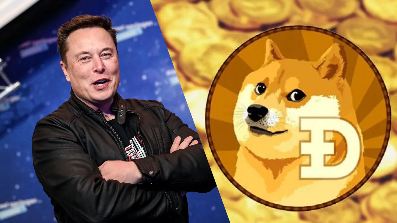 elon-musk-doge-X