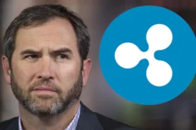 ripple-ceo