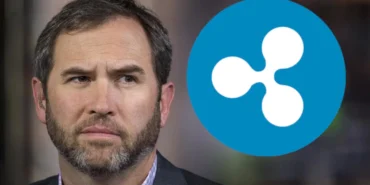 ripple-ceo