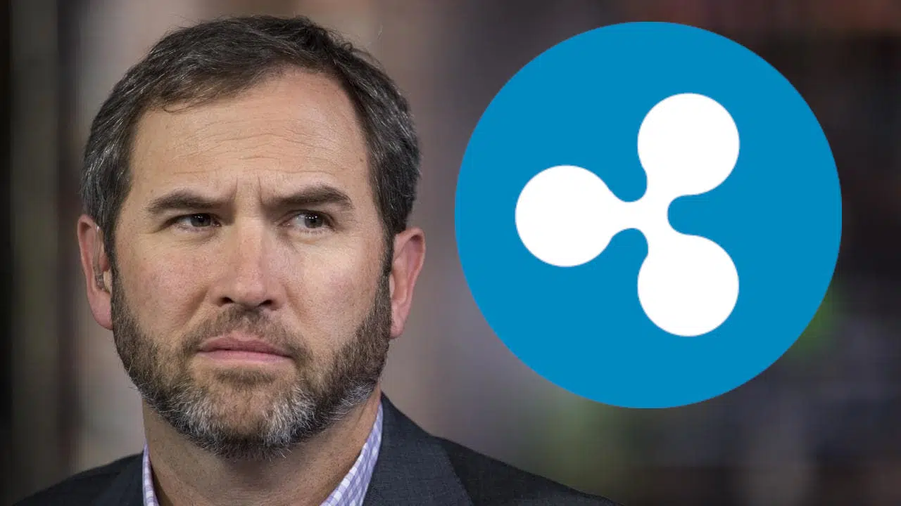 ripple-ceo