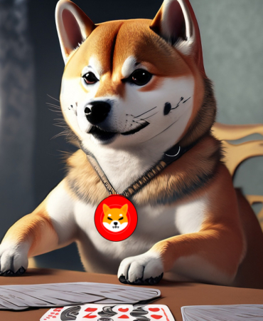 shiba-inu