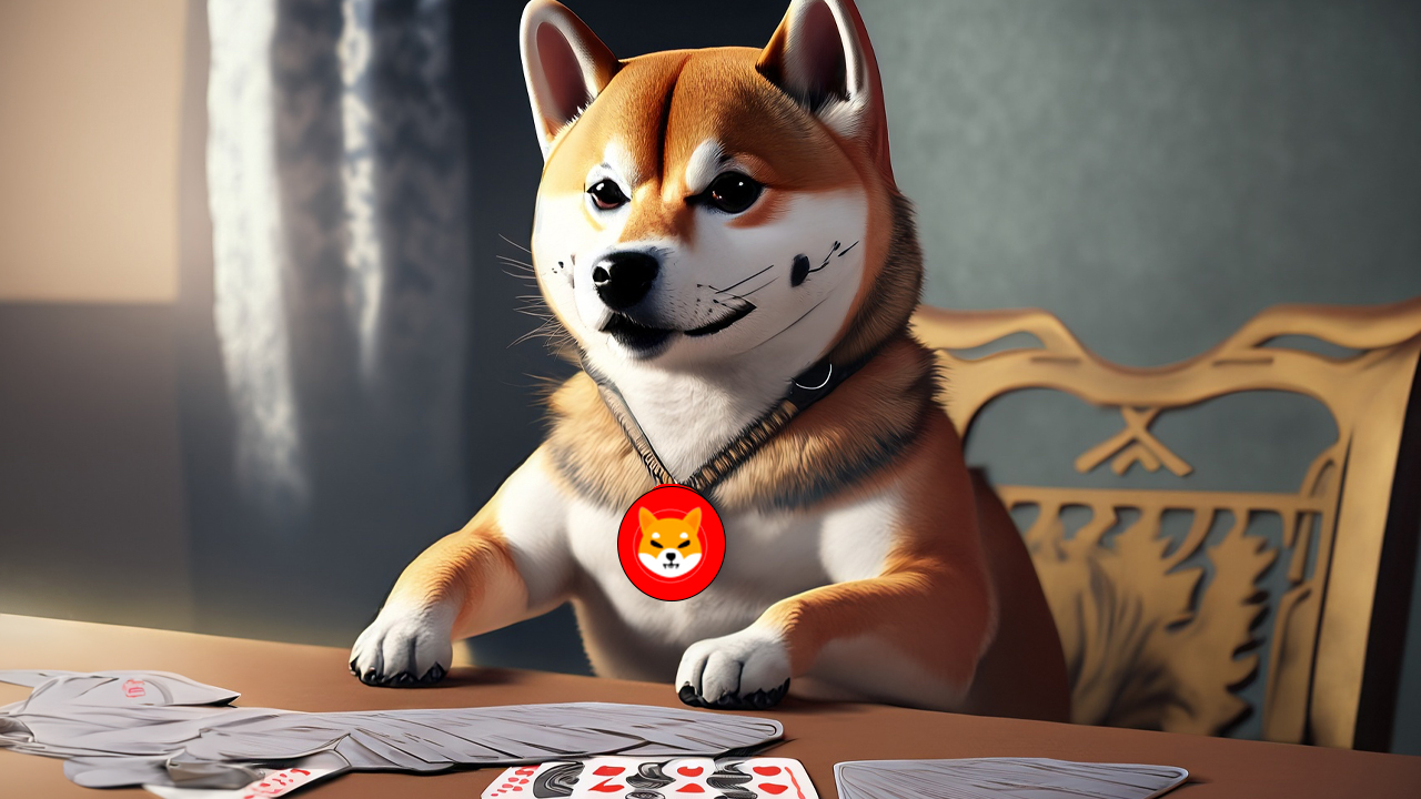 shiba-inu