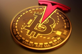 tesla-btc