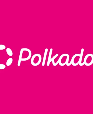 polkadot