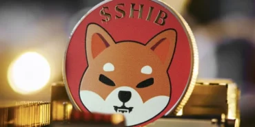 shiba