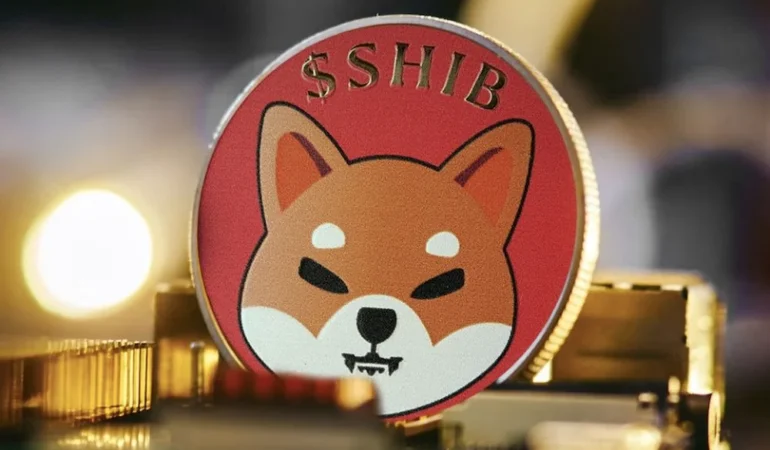 shiba