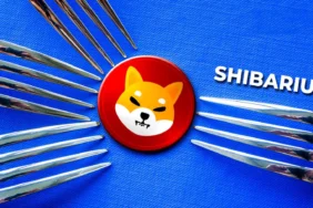 shibarium