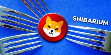 shibarium