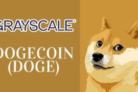 dogecoin-grayscale