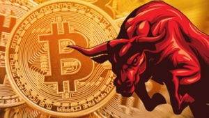 btc-boga