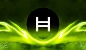 hedera
