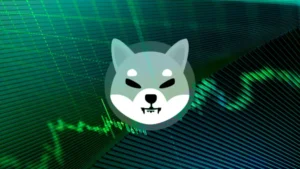shiba