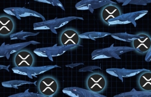 xrp-balina