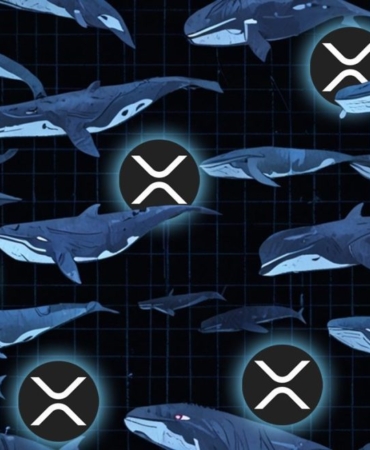 xrp-balina