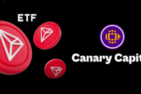 canary capital