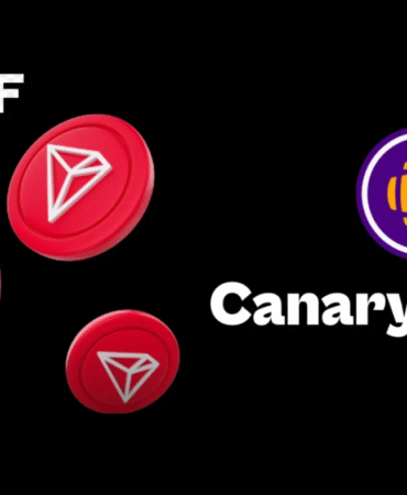 canary capital