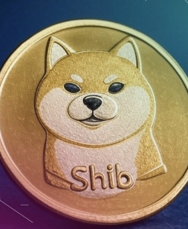 shiba