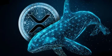 xrp-whale