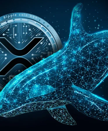 xrp-whale