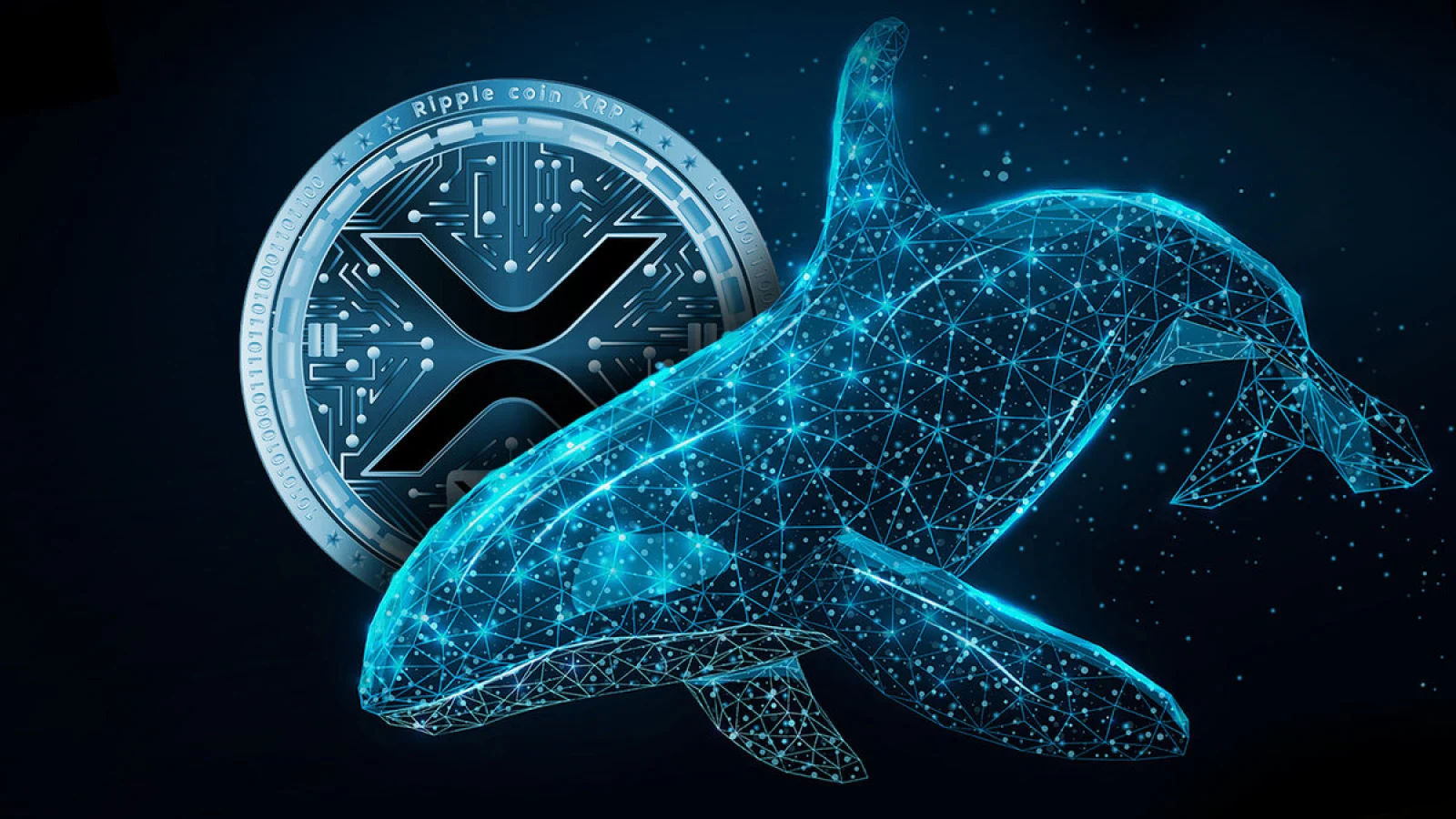 xrp-whale