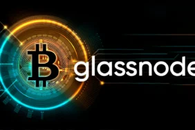 glassnode-bitcoin,